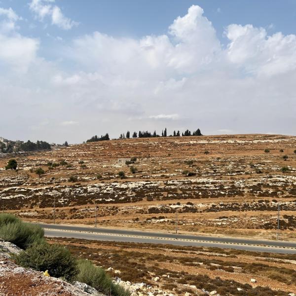 راببية المهنية 